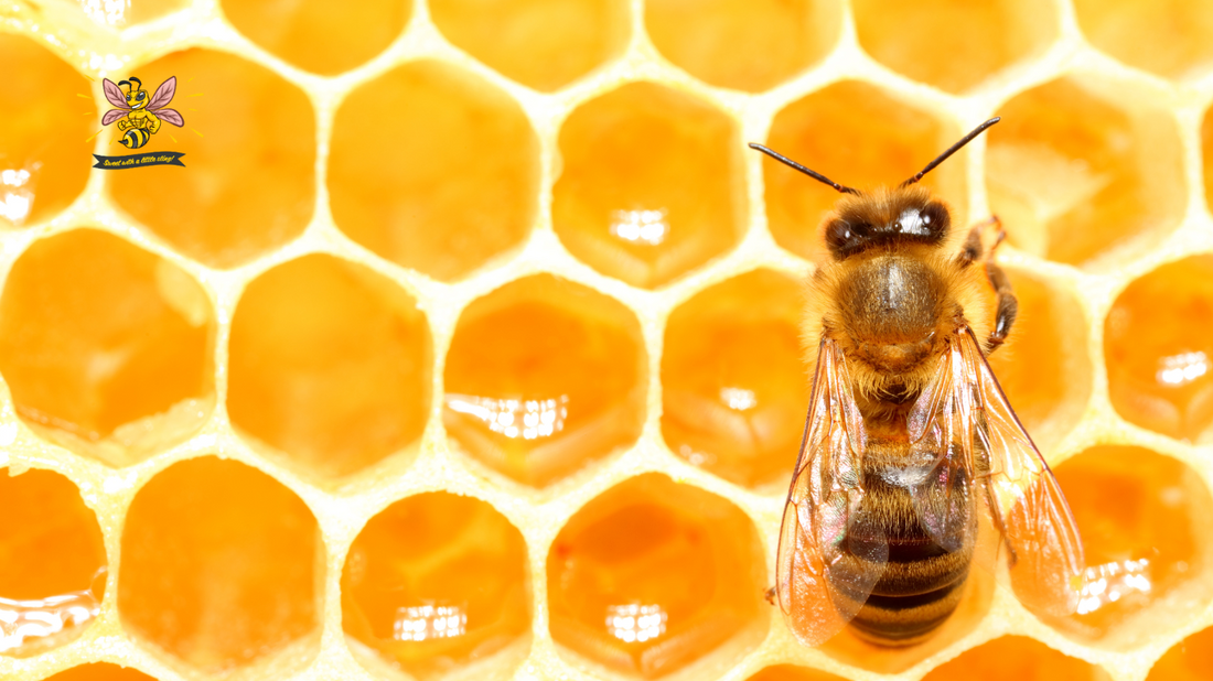 The Digestive Benefits of Honey: A Look at Nature's Sweet Remedy